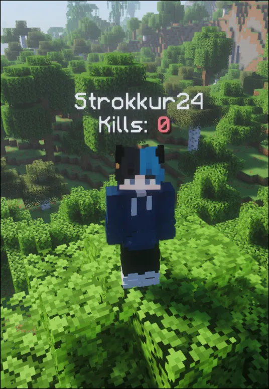 A preview of the below name display slot