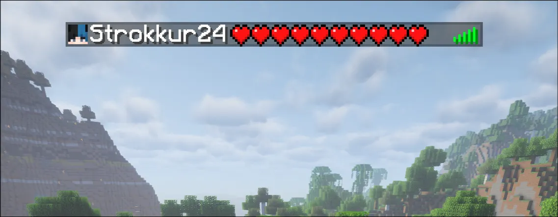A preview of the player list display slot with 20 score