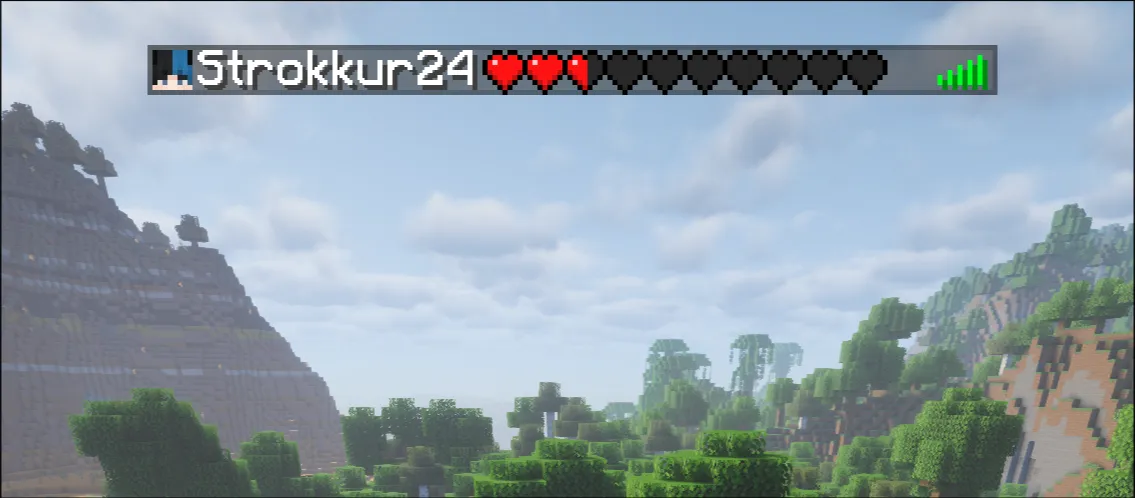 A preview of the player list display slot with 5 score